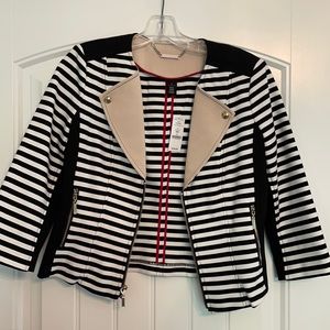 White House Black Market 3 Qtr Sleeve Stripe Ponte Motorcycle Jacket